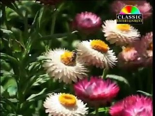 New Marathi Song - Premache Maze Te | Tujhi Aathavan | Marathi Songs 2014 New