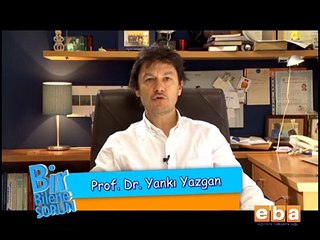 Çocuğum Okula Gitmeyi Reddediyor, Ne Yapmalıyım?