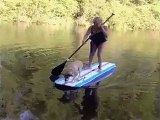 Dog Reacts To Surfing With Grandma