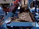 كيف تصنع العملة المعدنية