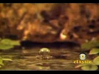 Foreigner - I Don't Wanna Live Without Your