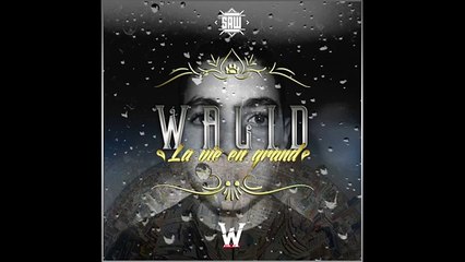 Walid - Abarth (La Vie En Grand)