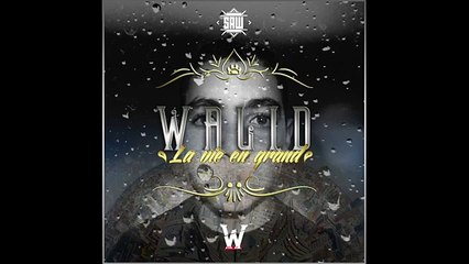 Walid - Des Chiffres (La Vie En Grand)