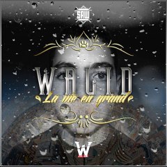 Walid - Le Pendu (La Vie En Grand)