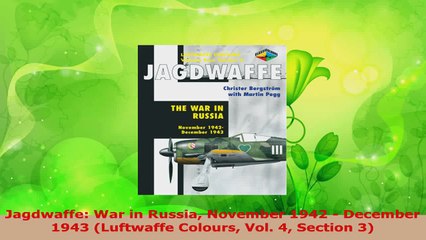 Read  Jagdwaffe War in Russia November 1942  December 1943 Luftwaffe Colours Vol 4 Section PDF Free