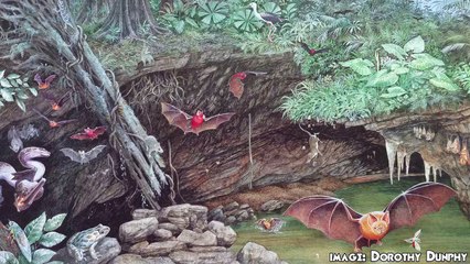 Giant Prehistoric Cave Sperm - Epic Science #95