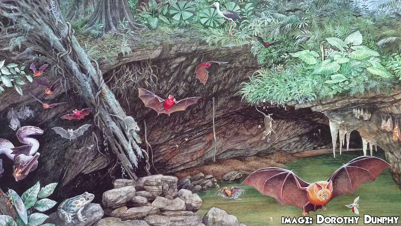 Giant Prehistoric Cave Sperm - Epic Science #95