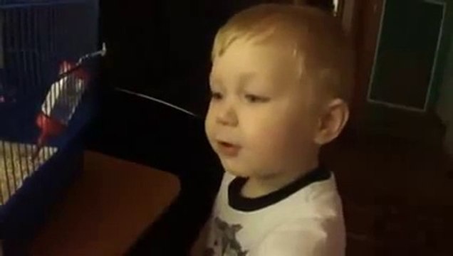 ну где же ты, любовь моя?