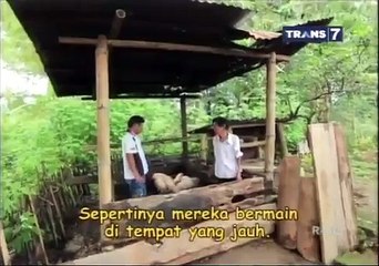 Bocah Petualang - Bermain Dan Belajar di toba samosir
