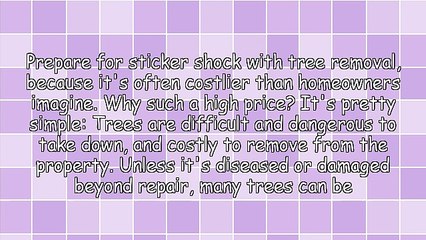 Why Is Tree Removal So Expensive?