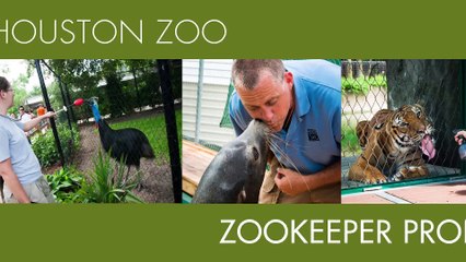 New Rhinos Move Into the Houston ZooMeet the Keeper׃ Meredith