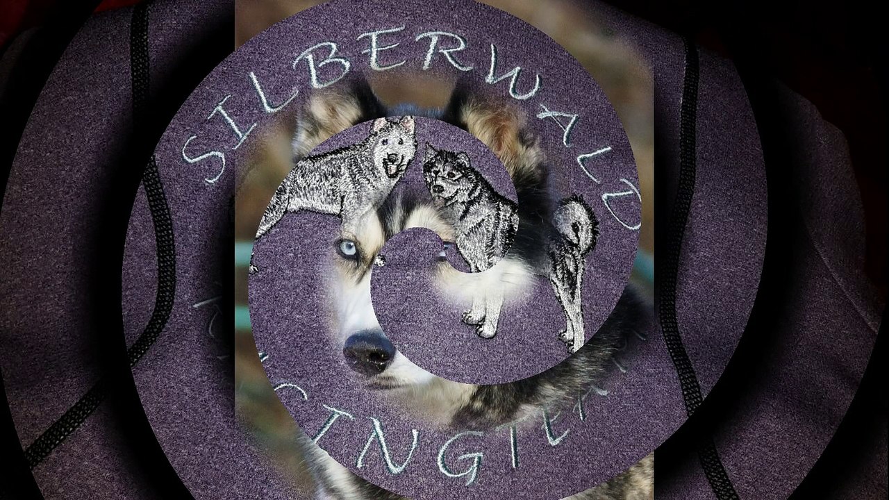 Starten mit Duni & Hali