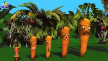 The Finger Family Carrot Family 3D Nursery Rhyme | Carrot Finger Family Songs