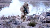 US Snipers Prepare the Battlefield Before Massive Ground and Aerial Attack M1 Abrams/ AH 6