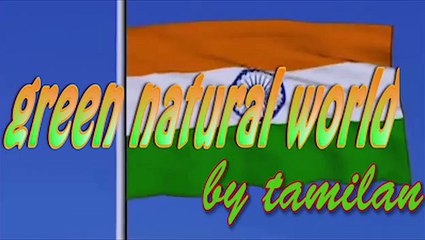 Snake vs Mongoose real fight | animal fights