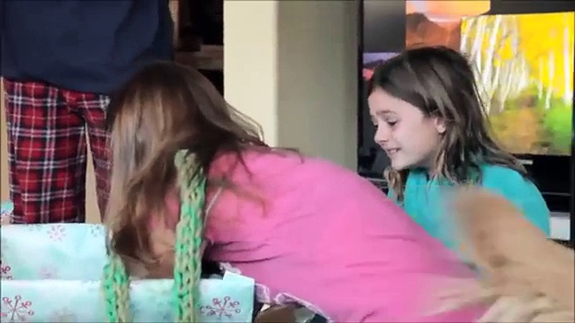 ⁣Surprise Christmas Puppy REACTIONS | funny videos
