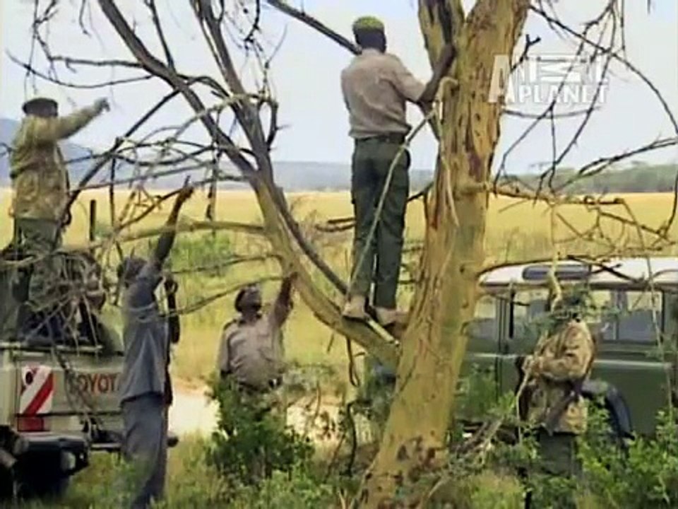 AMAZING ANIMAL leopard ATTACK on MAN