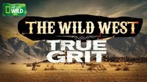 The Wild West True Grit ( Nat Geo WILD )