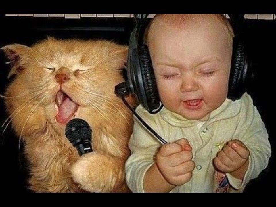 Best FAILS & Funny Videos ★ New Year 2016 Compilation ★