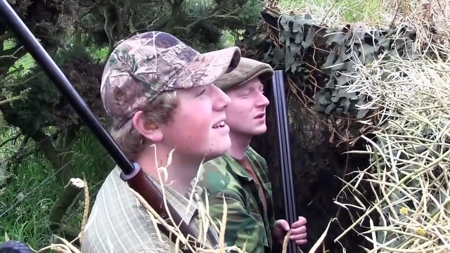 The Shooting Show stubble pigeons and Irish deer