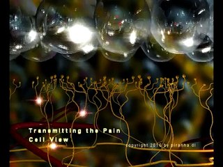 Pain _ Opiates 3D Animation