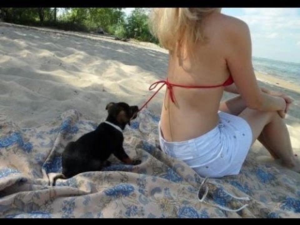 WhatsApp Funny videos ! Gun prank ! New Year Funny Videos ! Girls Prank