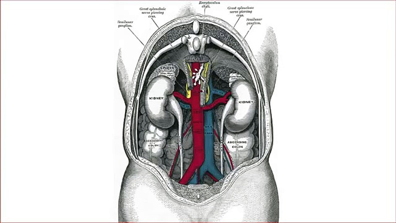 Diuretic_Drugs