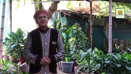 Mangton Par Sarkar Karam Farmate Hain l Burhan Raza Qadri