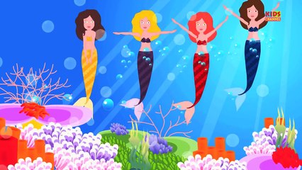 Monster Truck VS Tow truck Monster Truck | Popular Video for Kids | Car Race