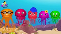 Jellyfish Finger Family Collection | Finger Family Songs | Animal Finger Family Collection
