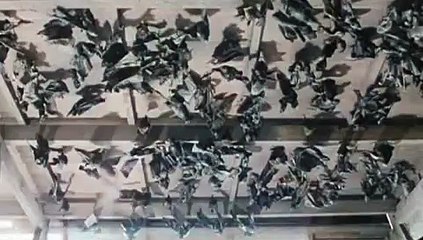 ＼광교건마 『 udaiso02.cＯm ∠유흥∠화정건마녀▶ 부산건마 안산오피