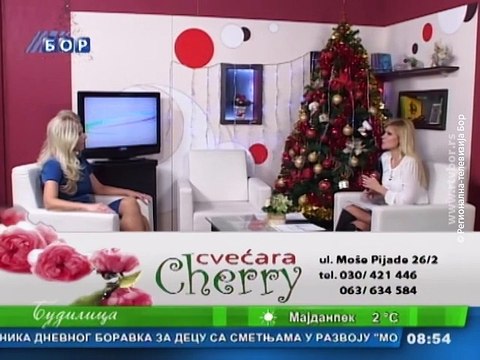 Budilica gostovanje (Anđelka Nikolić), 26. decembar 2015. (RTV Bor)