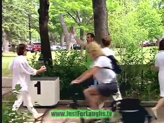 Accidental Death Of A Pigeon - Just For Laughs Gags