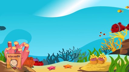 En Güzel 10 Türkçe Çocuk Şarkısı