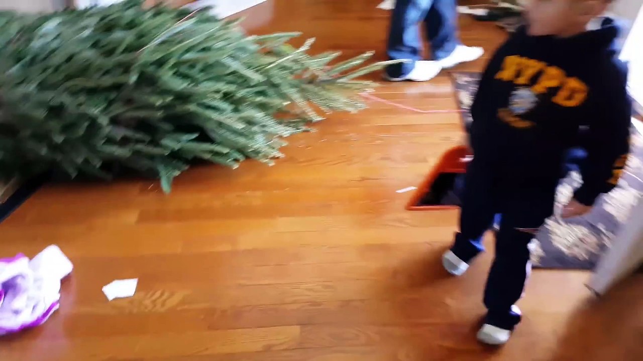 Funny Baby Faces - Giant Christmas Tree Down - Gingerbread Houses (FUNnel Vision 2015 Holiday Vlog)