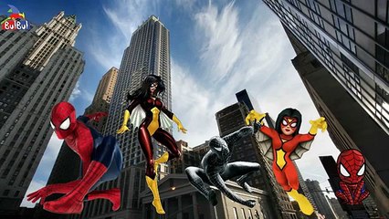 Spiderman Finger Family Kids Nursery Cartoons Rhymes - Finger Family Children Nursery Song , 2016