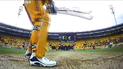 Dangerous Fast Bowling Compilation