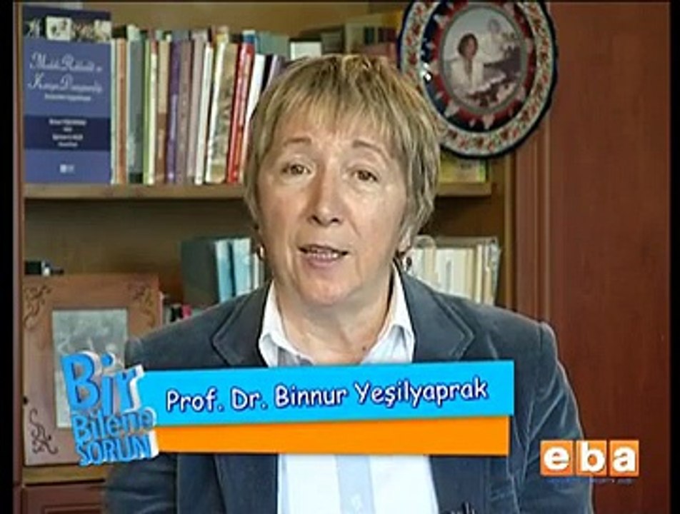 Duygusal Zekanın Bir Boyutu Olarak Motivasyon