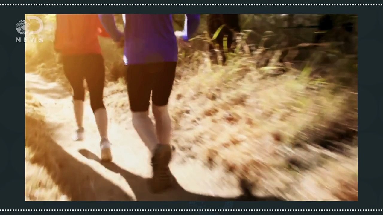 Why Your Body Is Built To Run Long Distances