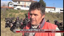 Ne kerkim te Gjeli te Detit - News, Lajme - Vizion Plus