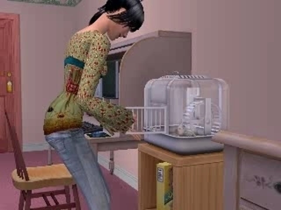 Sims_DaddyCool