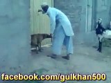 whatsapp latest NEW YEAR funny videos co