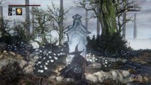 Bloodborne - The Old Hunters : Conferindo o Game (DLC)