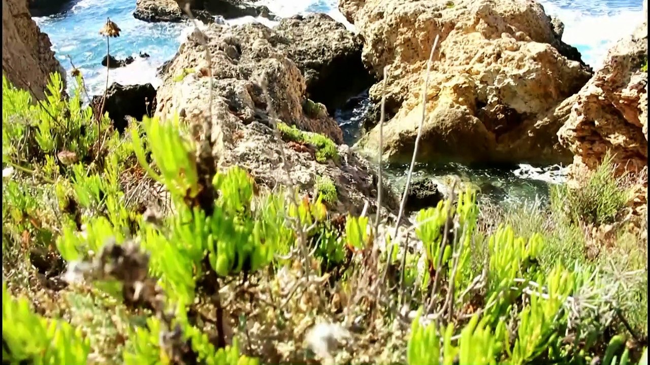 This Is Malta