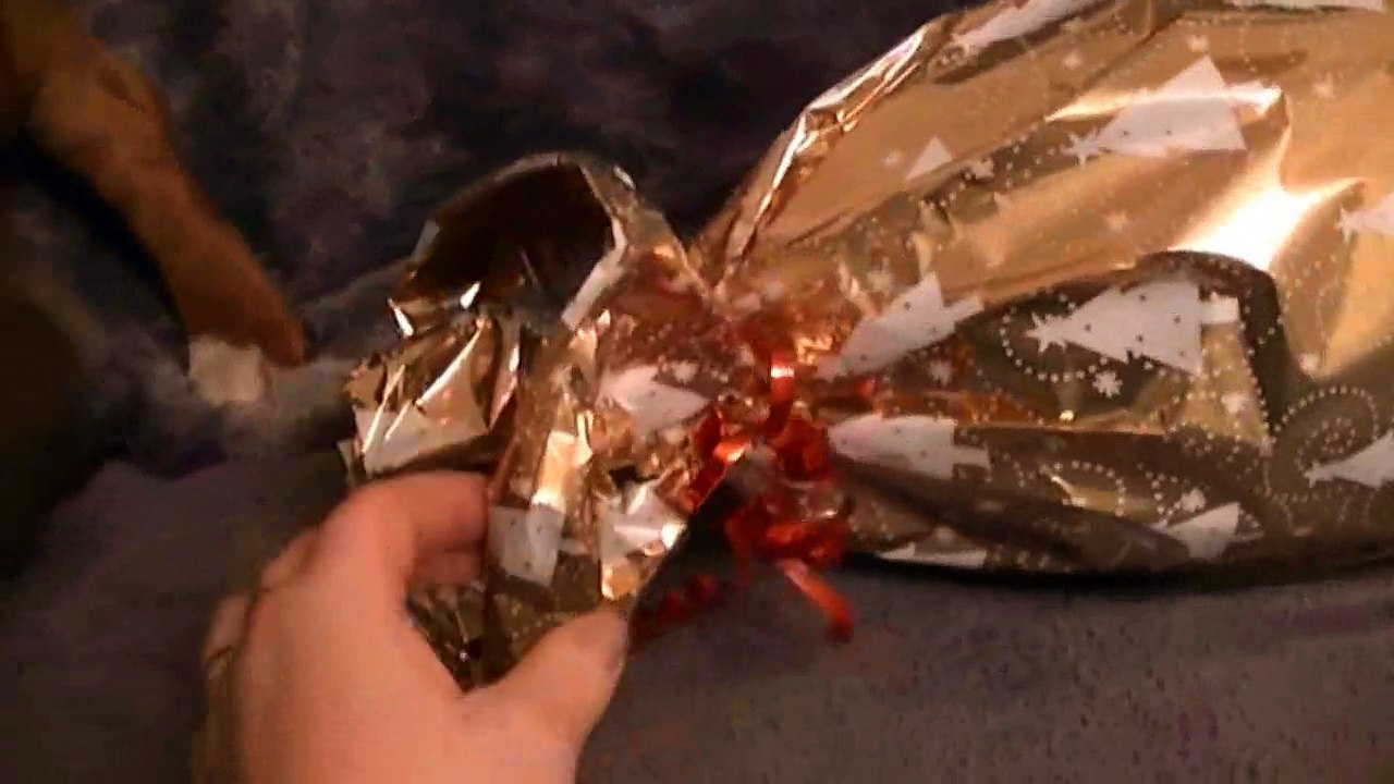 12.2 JOYA de STAFFORDLAND 1.2