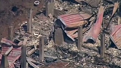 Australia bushfires destroy more than 100 homes