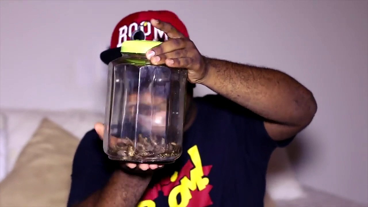 PEGADINHA - BARATAS (Cockroach Prank)