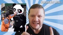 The best funny of 2016 New Yorkers Punch A Panda For Stress Relief - Punch A Panda Stress Relief Man - MrHairyBrit
