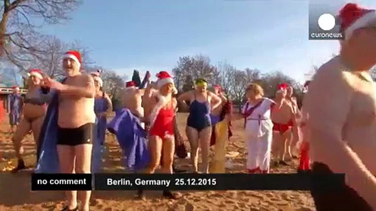 Berlin Seals