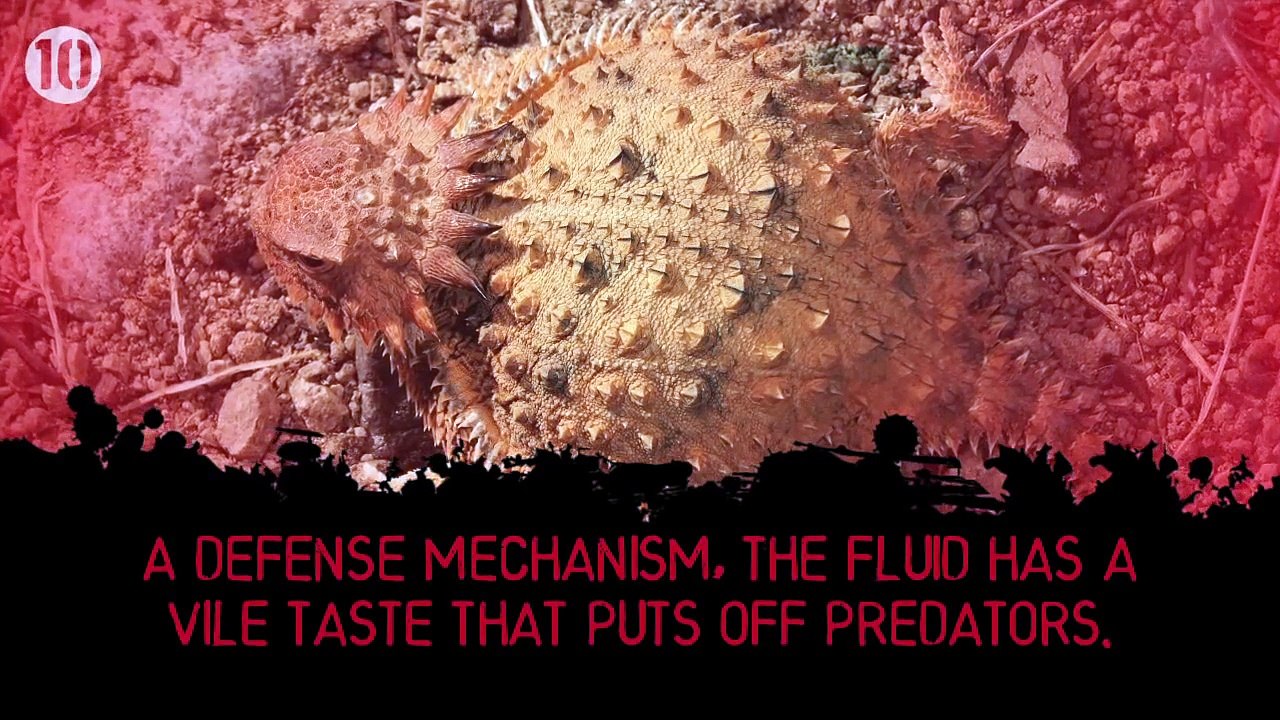 10 Disgusting Facts About Blood